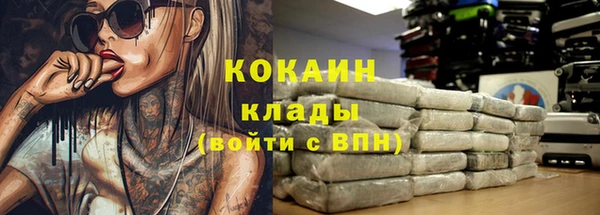 прущая мука Няндома