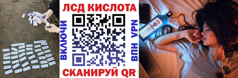дарнет шоп  Котлас  ОМГ ОМГ ССЫЛКА  Лсд 25 экстази кислота 