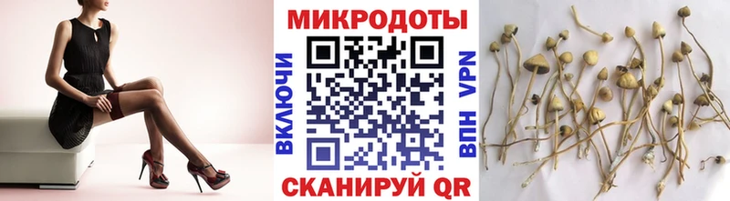 Псилоцибиновые грибы Magic Shrooms Котлас