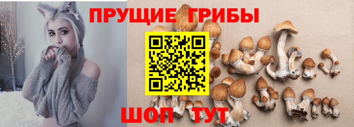 Галлюциногенные грибы мухоморы Котлас